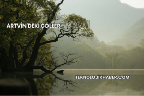 Artvin'deki Göller